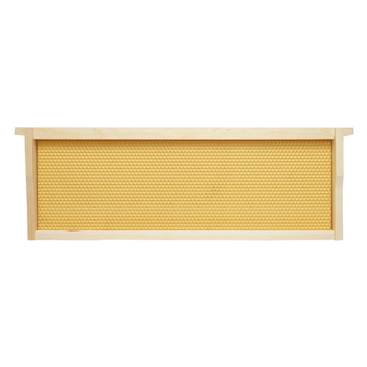 Wooden hive frame with plastic comb type Dadant 483x448x159mm