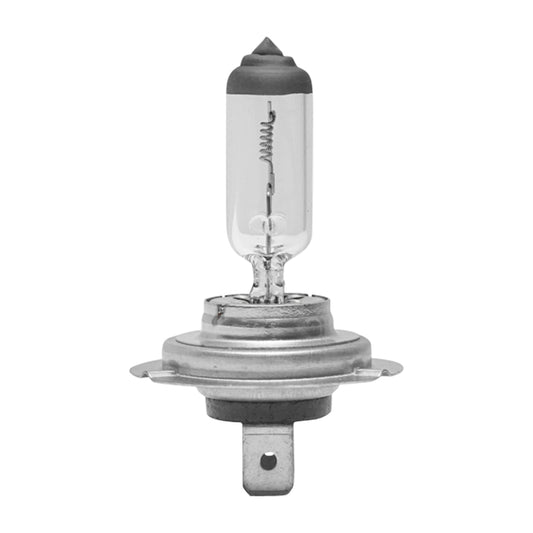 H7 Bulb 24V 70W