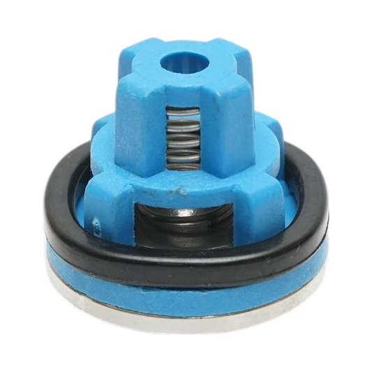 Check valve for diaphragm pump for herbicide sprayer