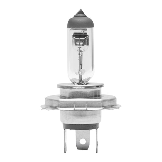 Halogen bulb P43T H4 24V 75x70W