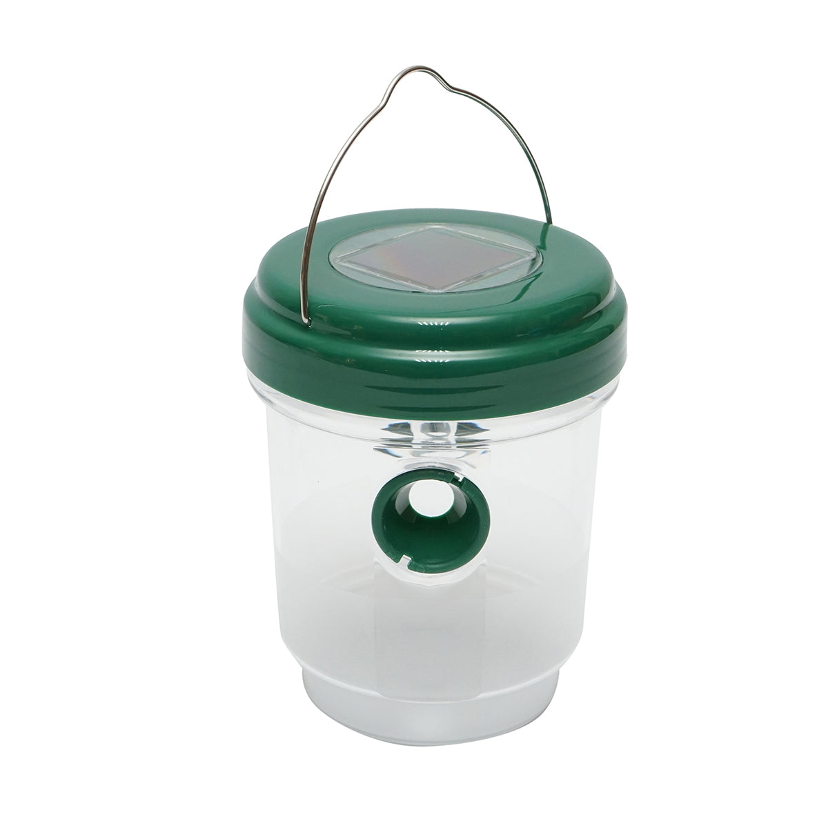 Jar type solar trap for wasps, insects