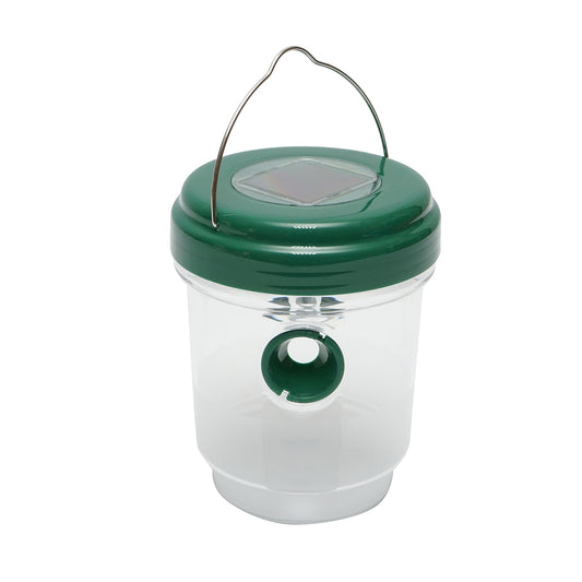 Jar type solar trap for wasps, insects