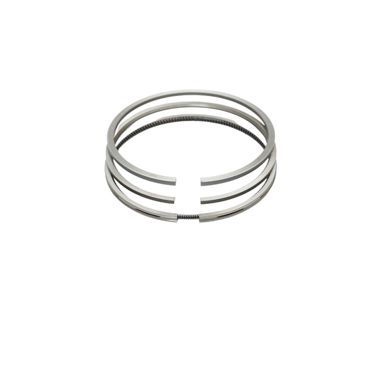 Set motor segments for Massey Ferguson, Landini, Perkins OEM code 3641316M91, 4181A023, 4181A025, 4181A026