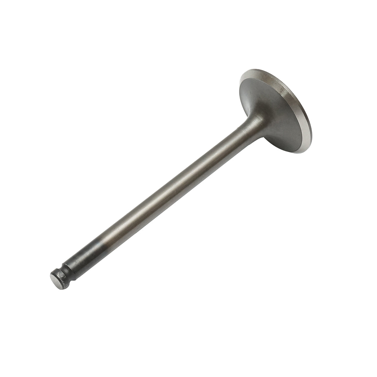Intake valve Massey Ferguson, Landini OEM code 732811M1