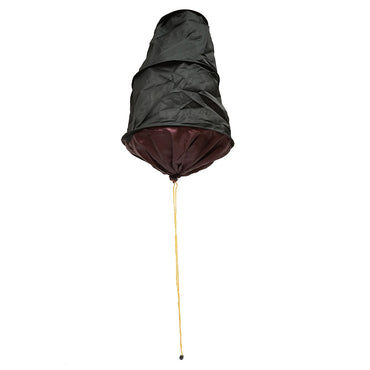 Bag with rope for catching a swarm of bees