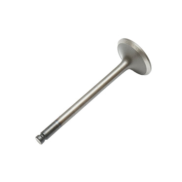 Massey Ferguson intake valve OEM code 731151M1