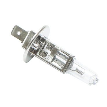 H1 24V 70W Bulb Breckner Germany