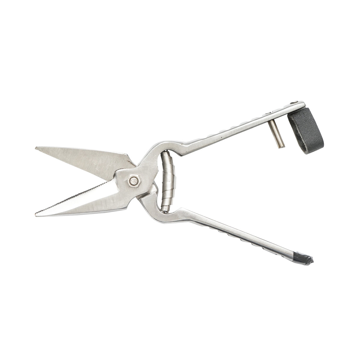 The serrated scissors for sheep and goats 220mm Breckner Germany