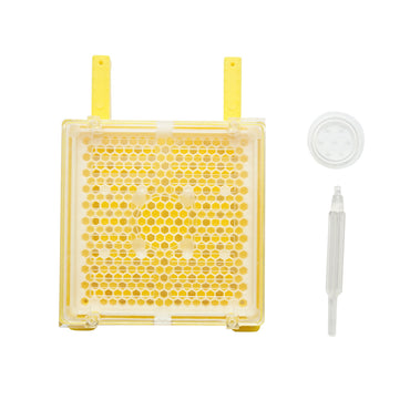 Complete growth kit for queens