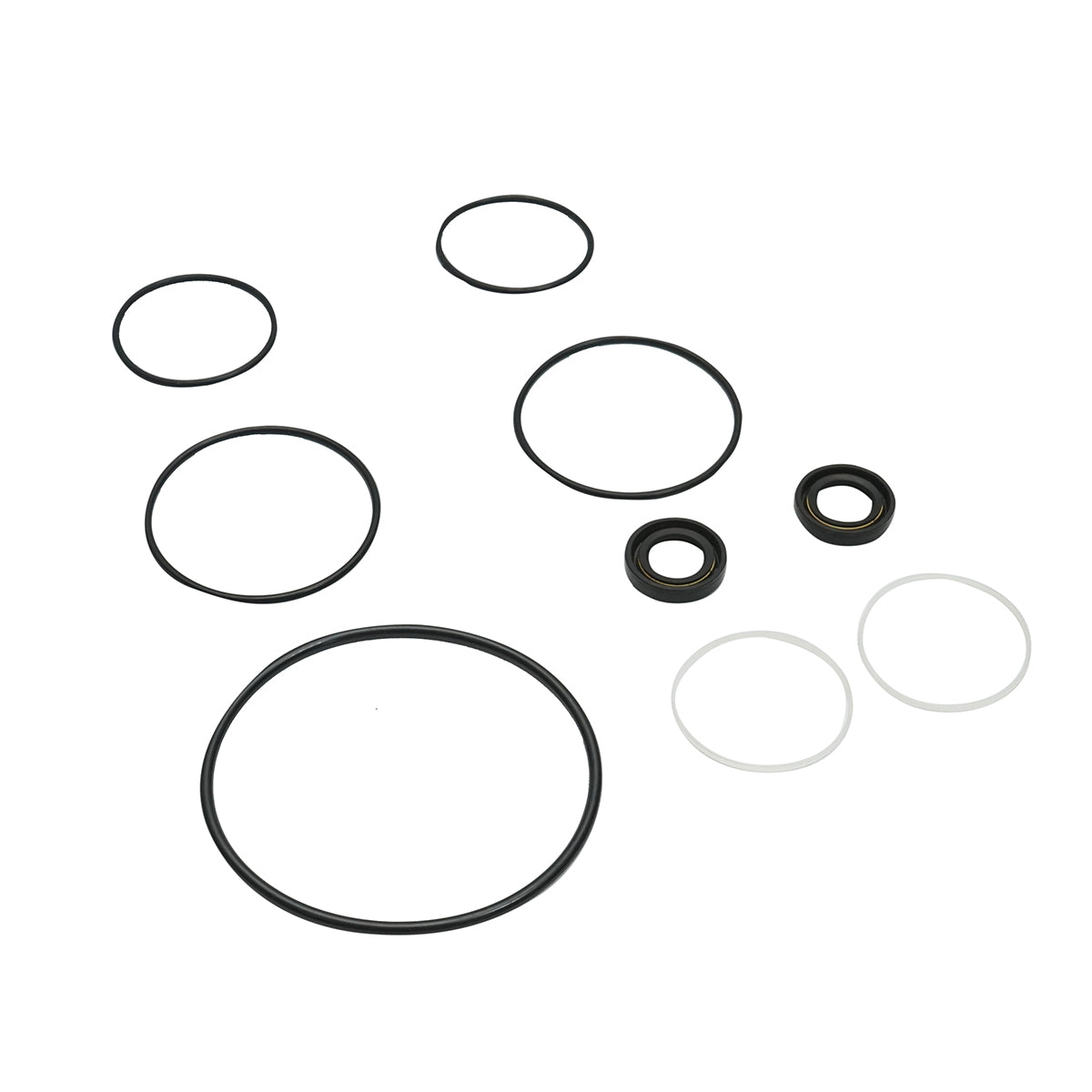 Repair kit for hydraulic power steering pump Massey Ferguson OEM code 1810417M91
