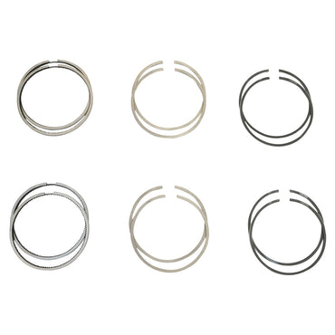 Chrome segments fi77 for Dacia 1600