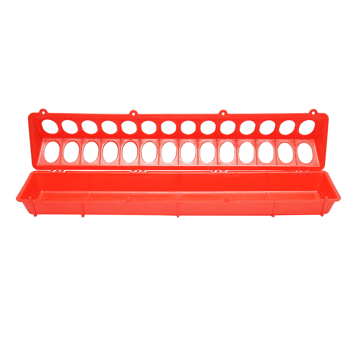 Feeder for chicks and poultry 50cm Breckner Germany