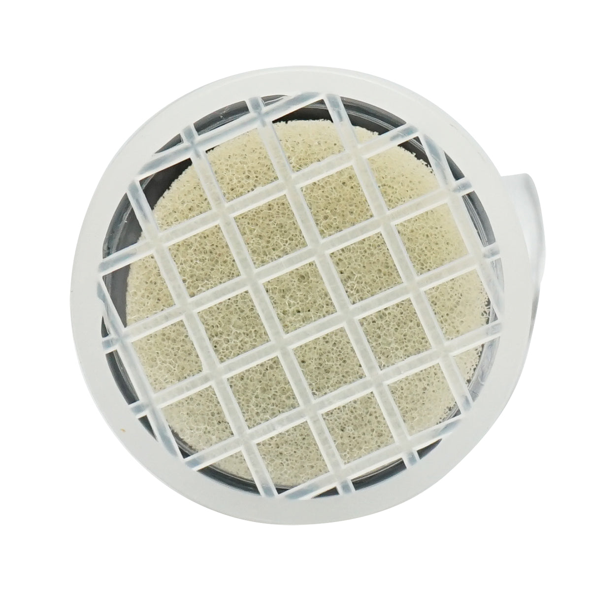 Cylindrical marker for queen bee