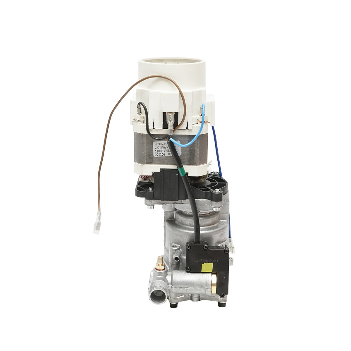 Motor with pump for pressure washer BK77093