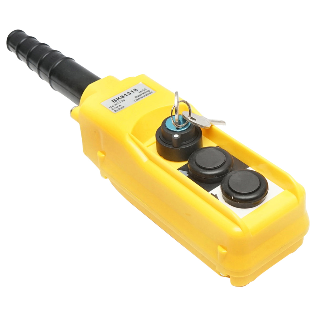 Industrial remote control with 2 commands and general contact with key 12V Breckner Germany