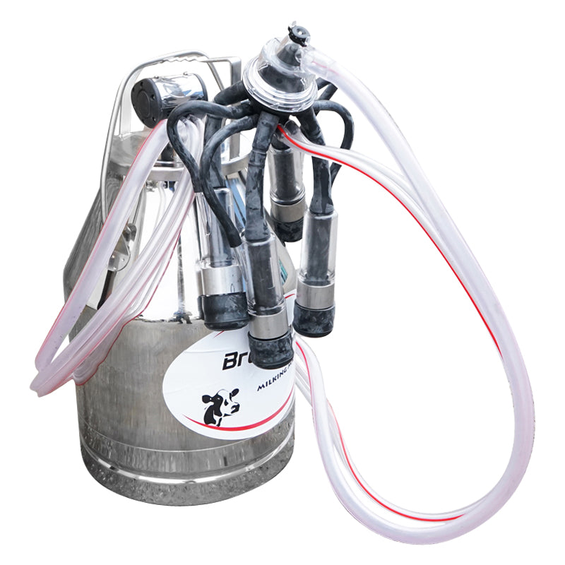 30L stainless steel can for milking, germicidal Breckner Germany