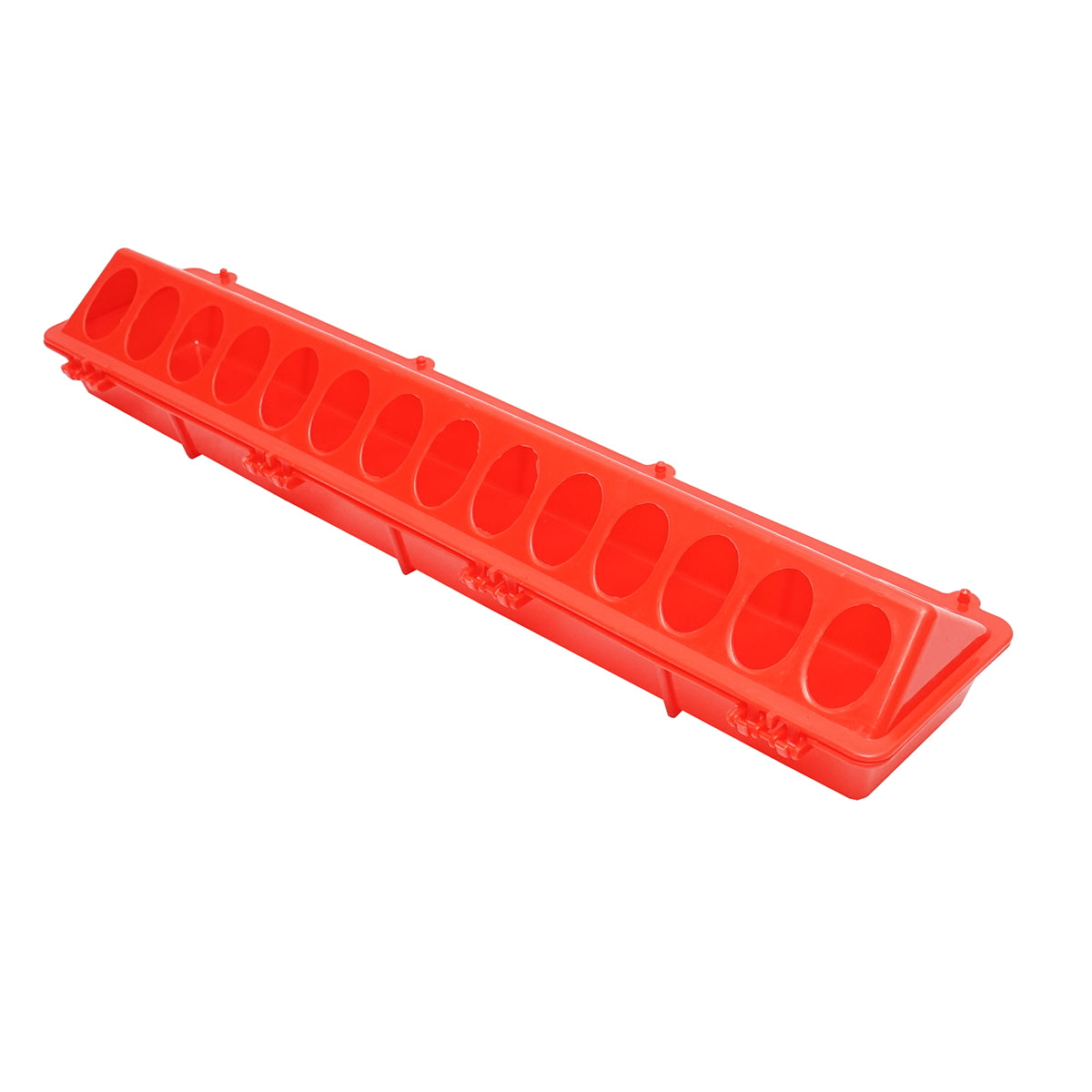 Feeder for chicks and poultry 50cm Breckner Germany