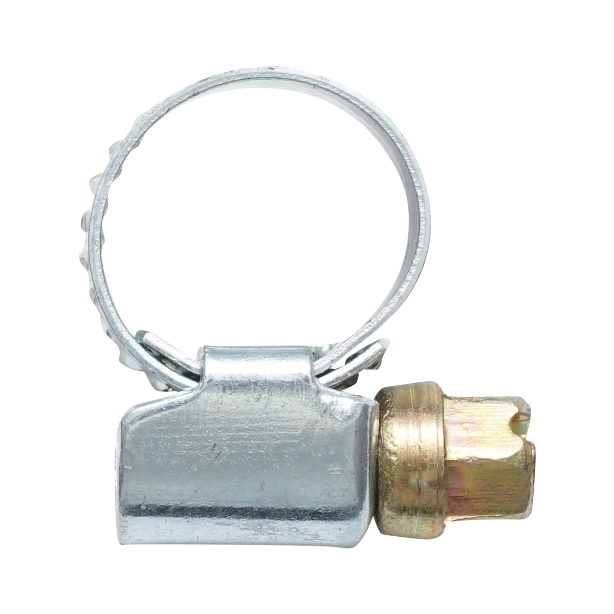 Adjustable stainless steel hose collar 8-12A