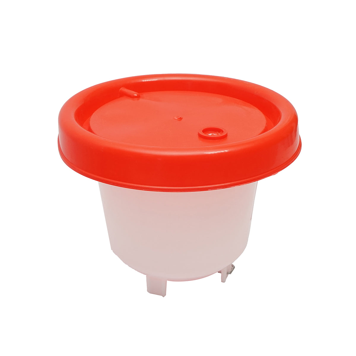 Drinker for chicks and poultry 6L Breckner Germany