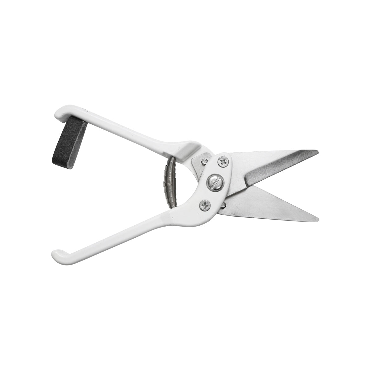 Straight blade nail scissors for sheep and goats Breckner Germany