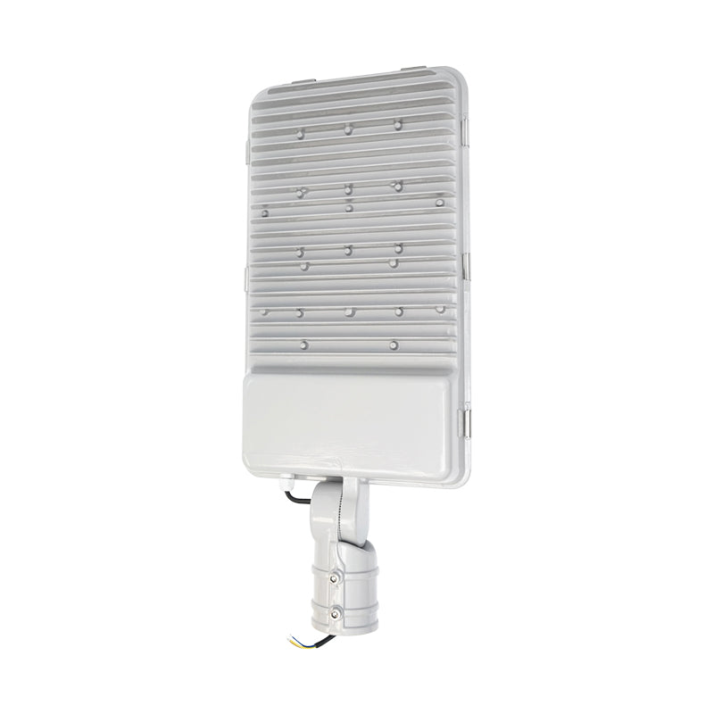 LED lighting lamp 100W, 220V, 8000lm, 6500K cold light with pole mounting and adjustable angle IP67 Breckner Germany