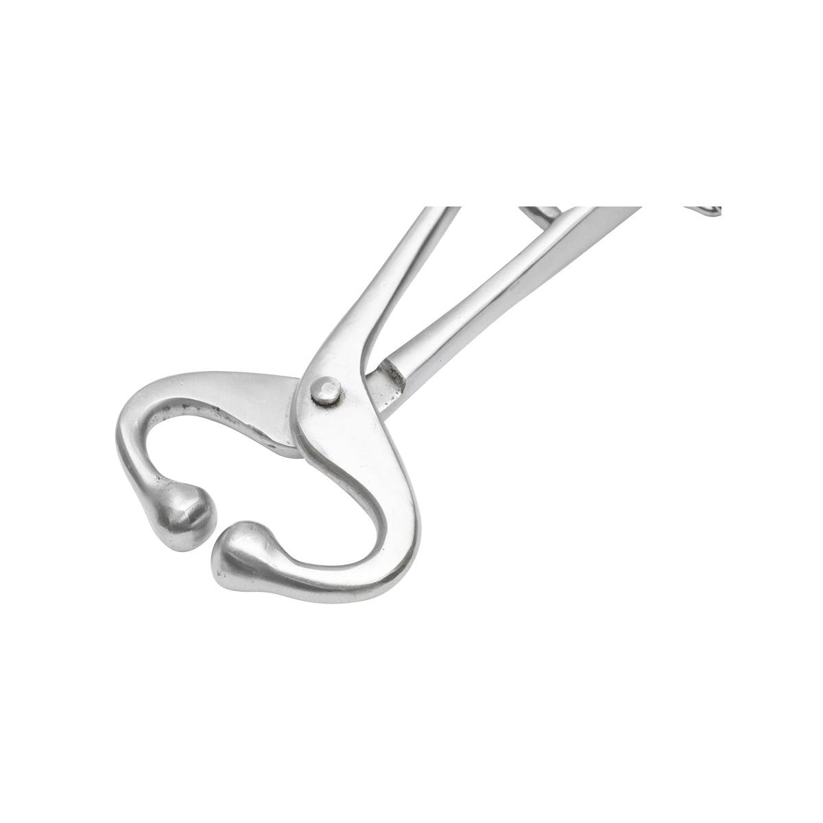 Mucarnita with chain for quick and efficient immobilization of cattle Breckner Germany
