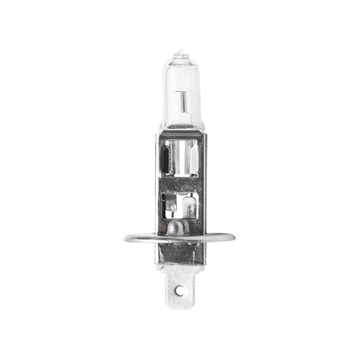 Halogen light beacon H1 12-24V for foot support
