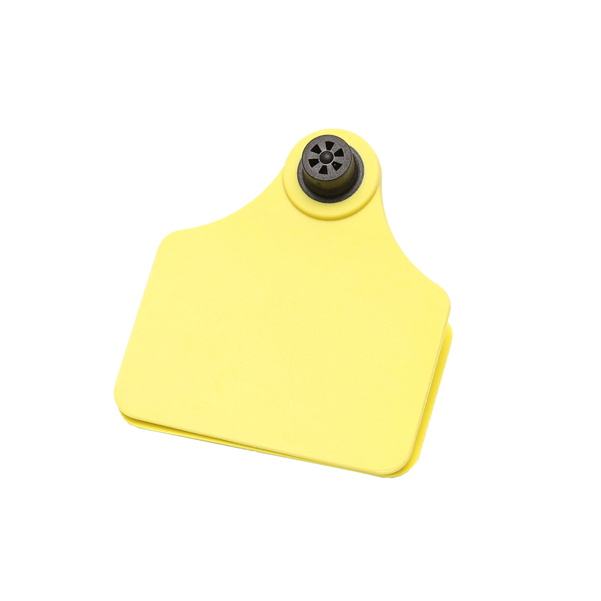 Set of unmarked yellow bell collars for cows Breckner Germany