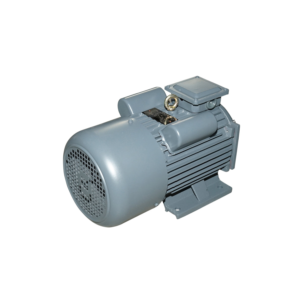 4KW electric motor, 220V for feed granulator 40TH158