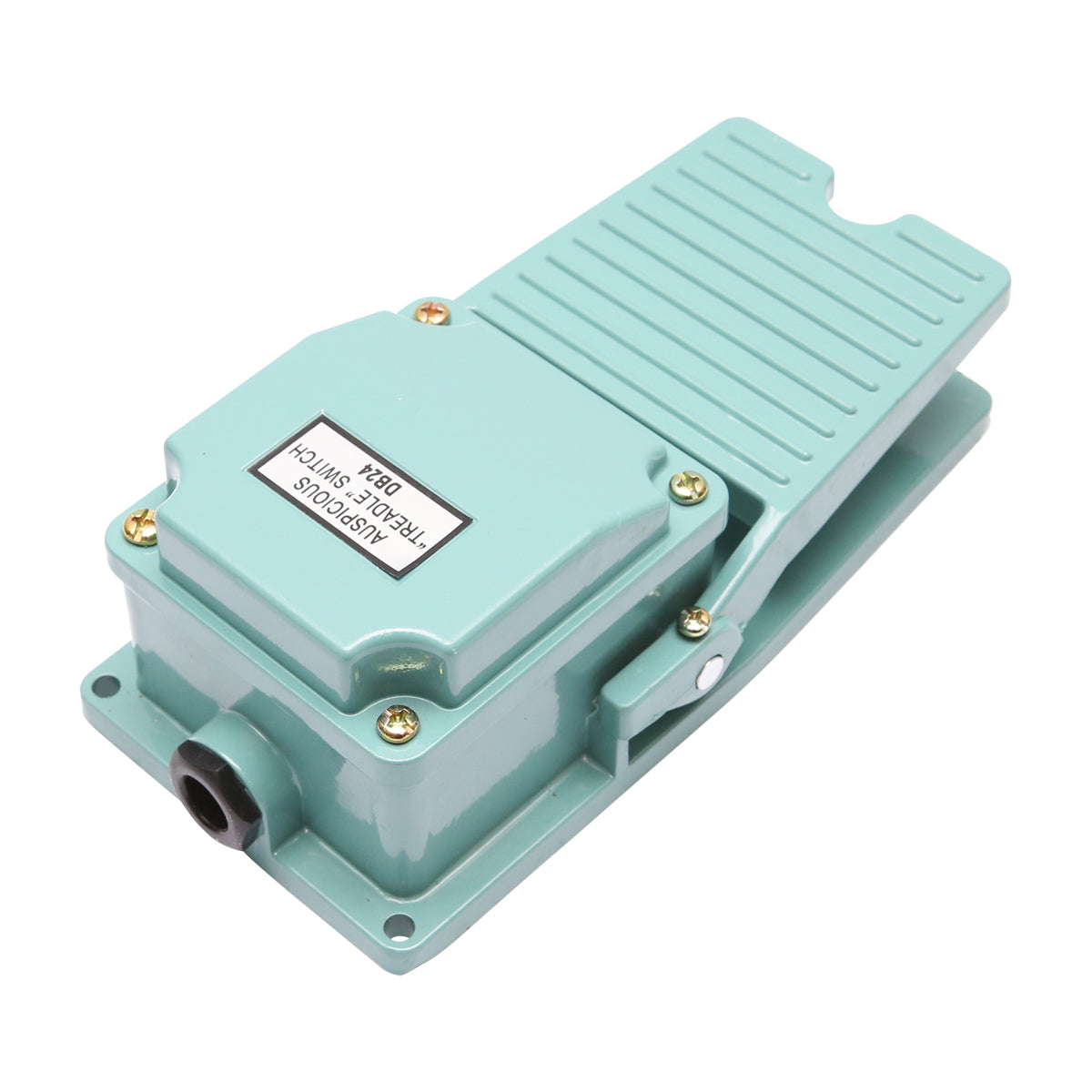 The pedal control with electric contact 250V/10A