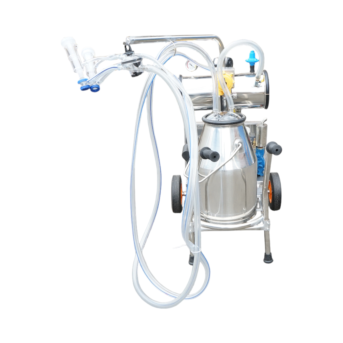 Sheep milking machine 1 post 750W, 220V stainless steel tank 25L, milking group with 2 teats, vacuum pressure 40-50 kPa, pulsations 60-80 cpm