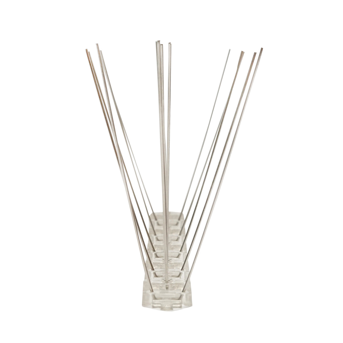 Band with 10 spikes, anti-bird thorns Baisan