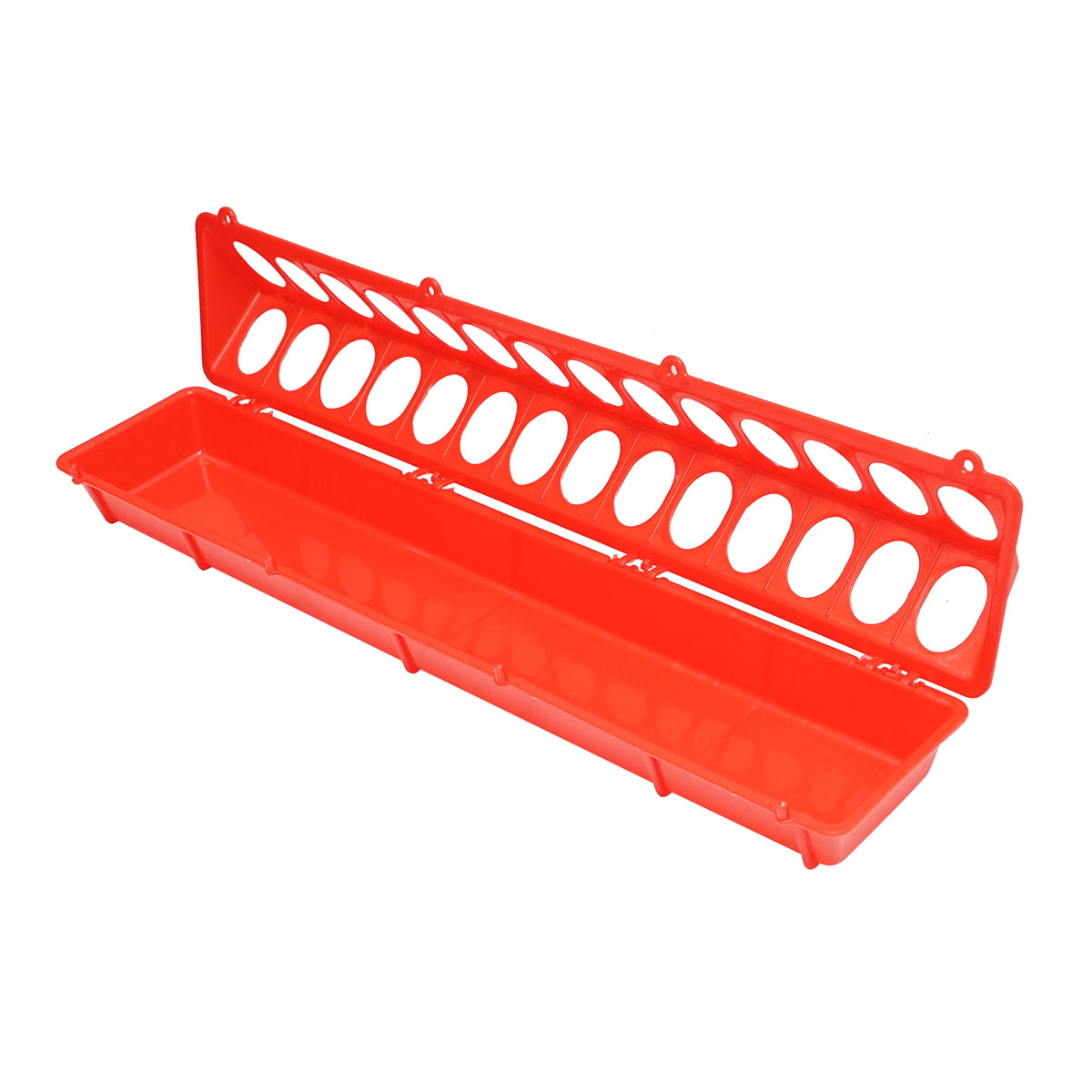 Feeder for chicks and poultry 50cm Breckner Germany