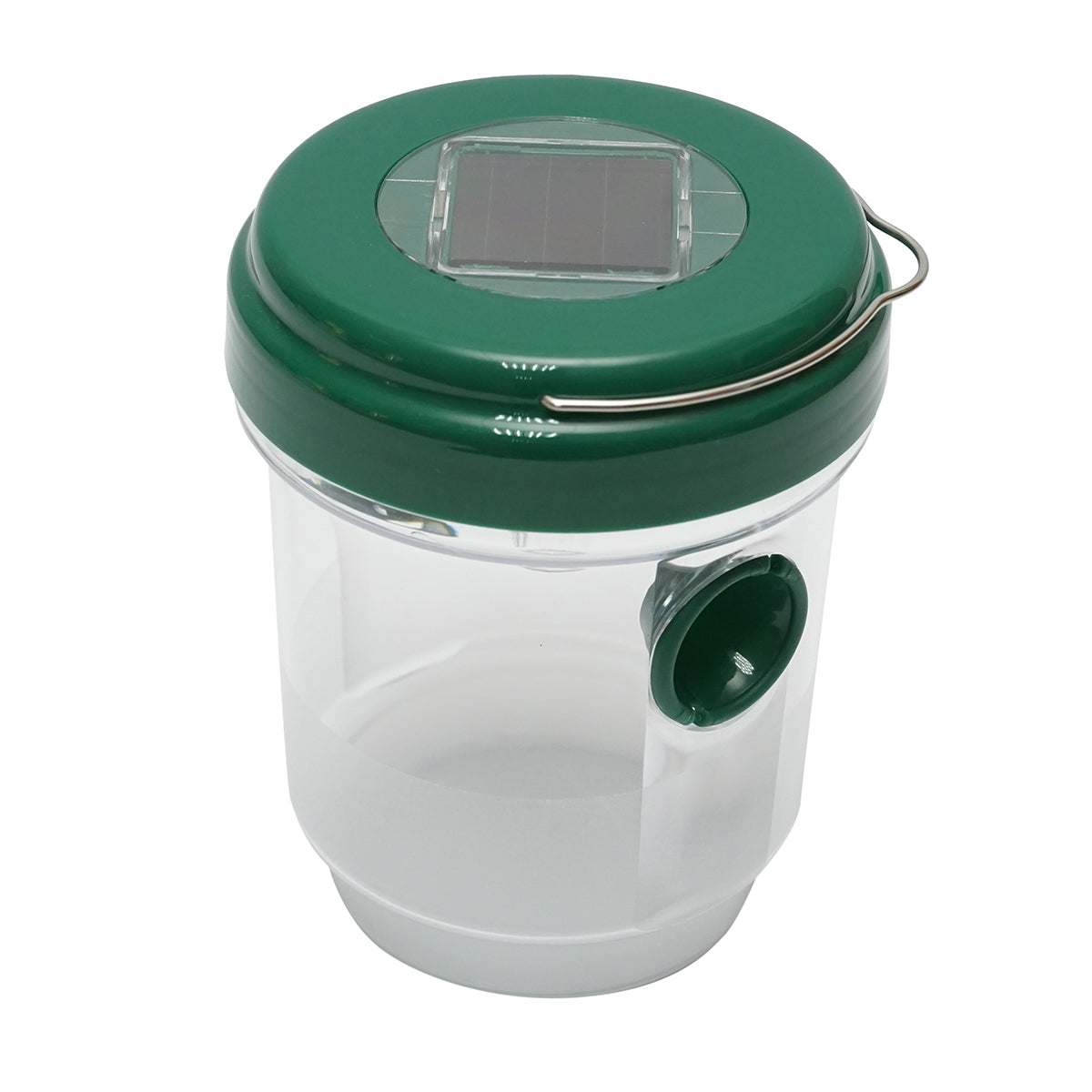 Jar type solar trap for wasps, insects