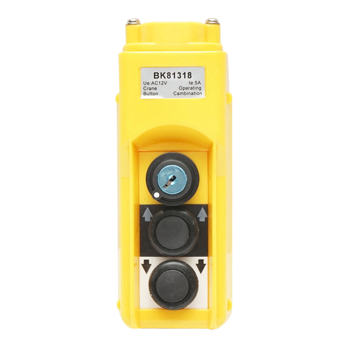 Industrial remote control with 2 commands and general contact with key 12V Breckner Germany