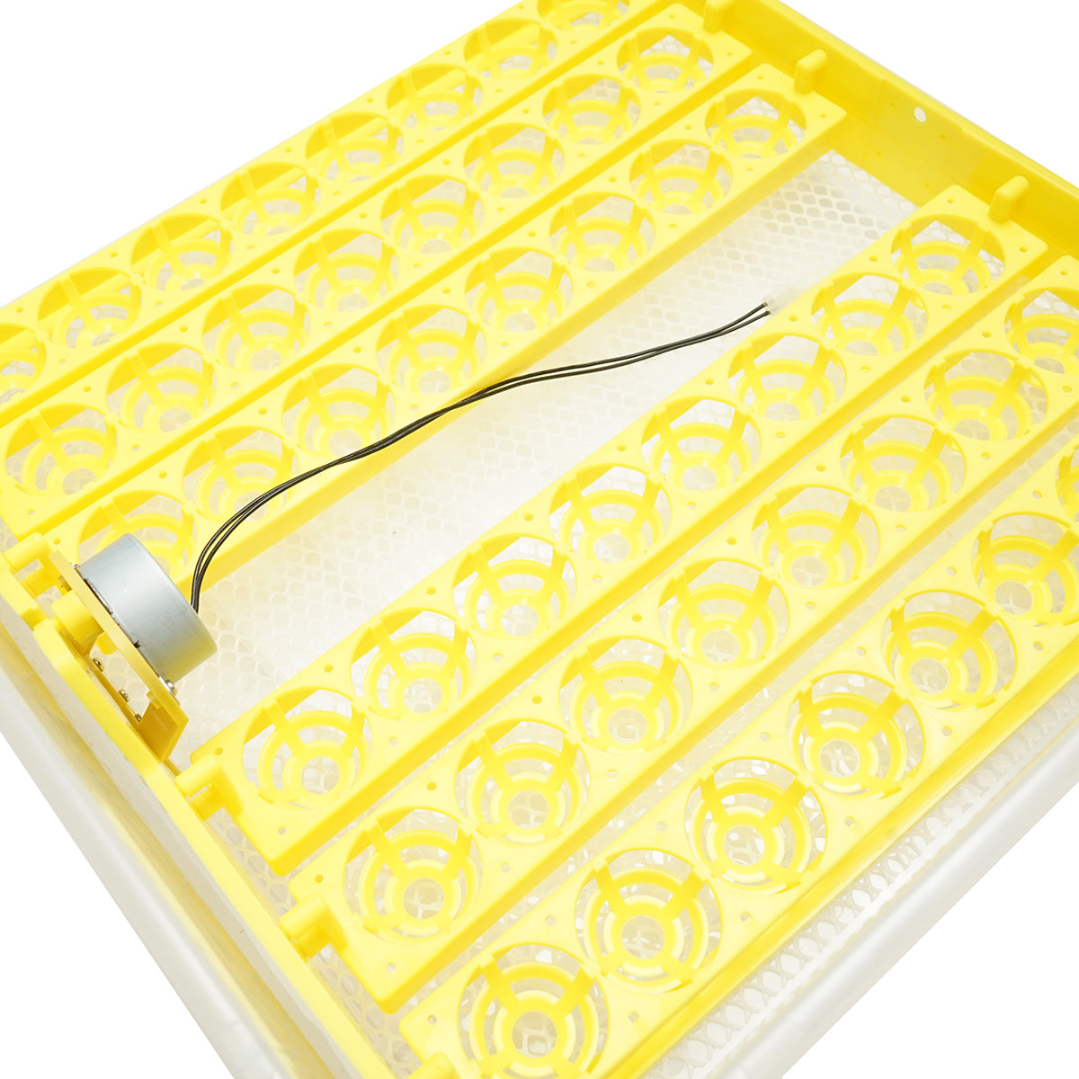 Automatic incubator 48 eggs EW-48 Breckner Germany