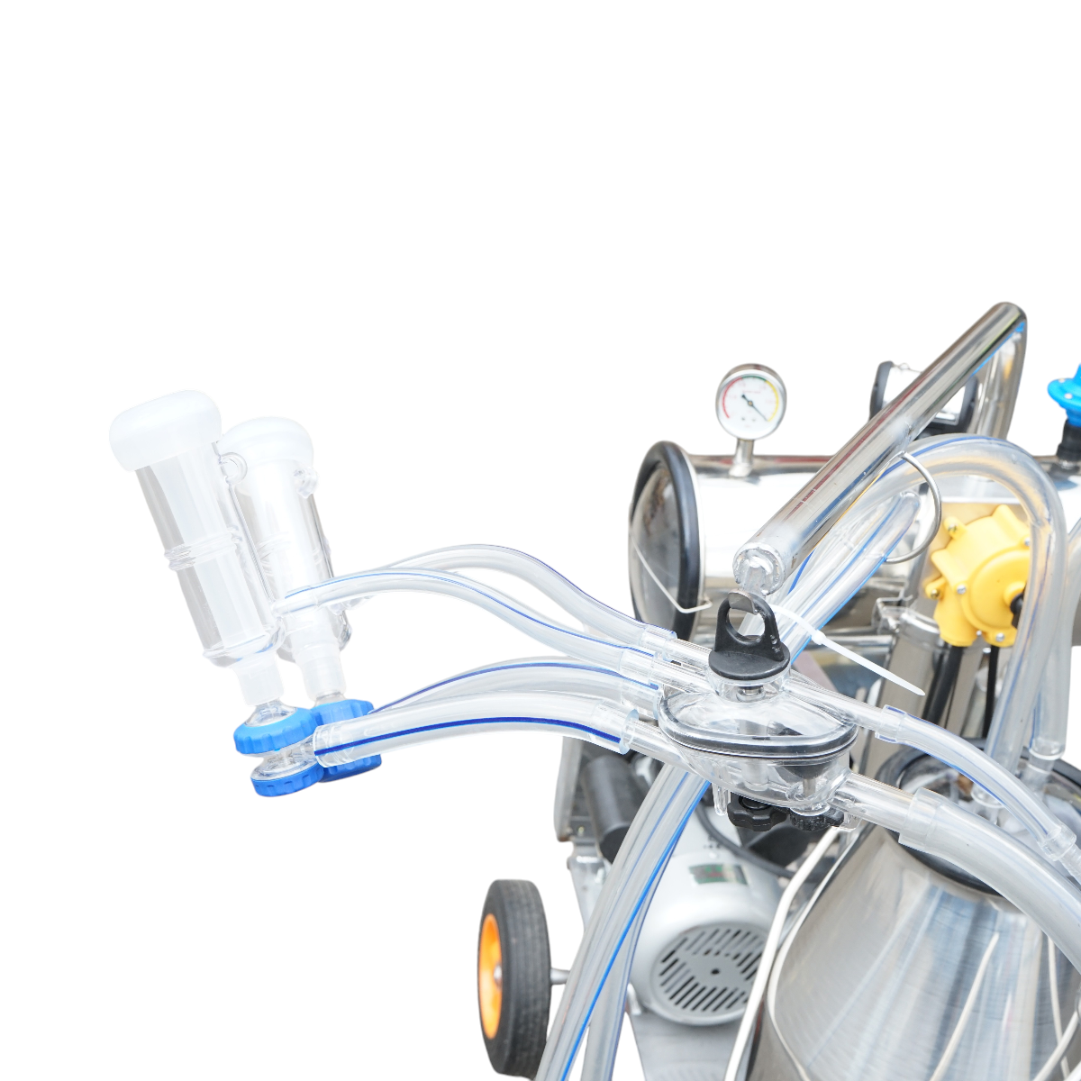 Sheep milking machine 1 post 750W, 220V stainless steel tank 25L, milking group with 2 teats, vacuum pressure 40-50 kPa, pulsations 60-80 cpm