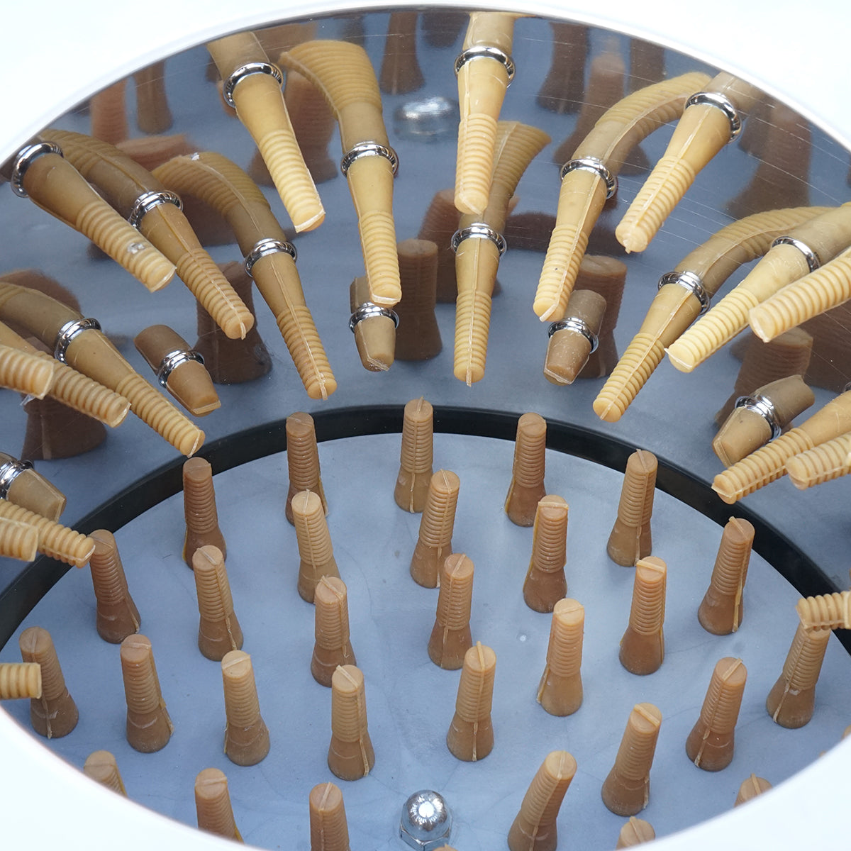 Inox plucker 1500W, 220V max capacity 4 birds, 157 fingers, 180 r/min IP68