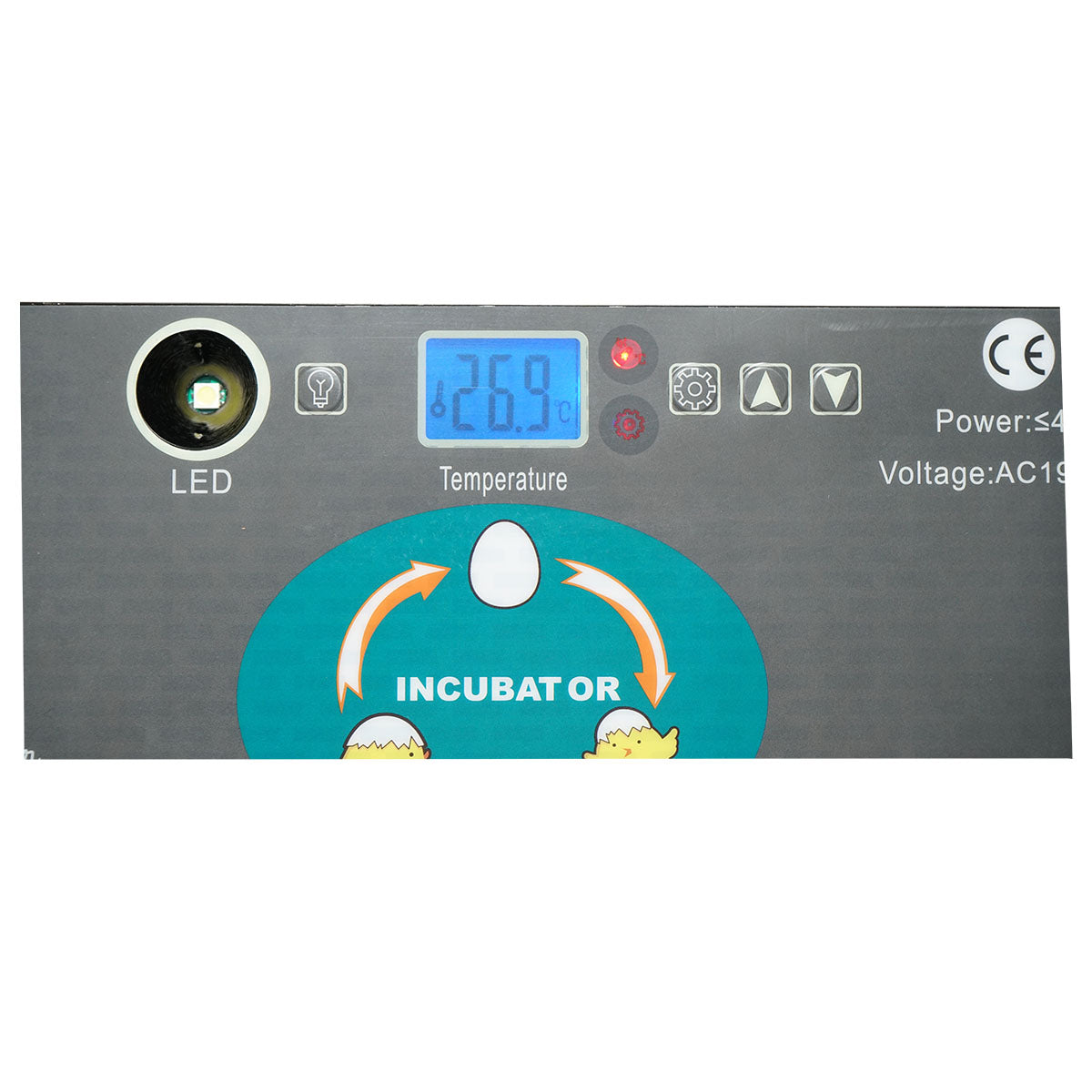 Automatic incubator 12 eggs EW9-12 Breckner Germany
