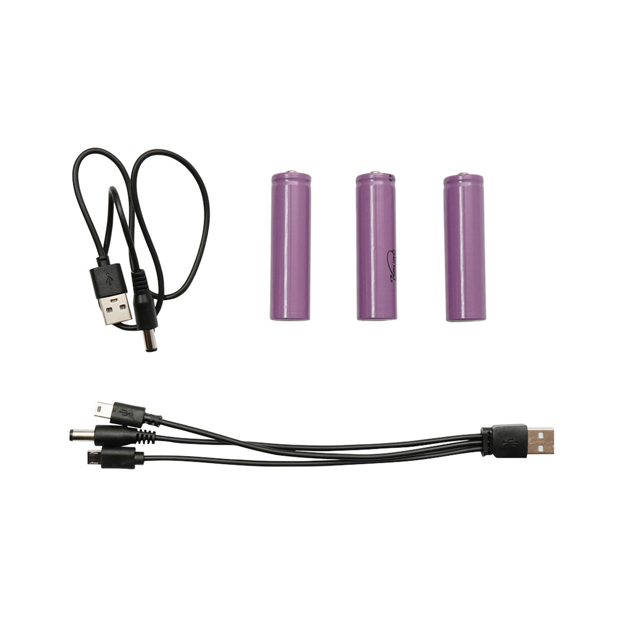 Portable LED lighting kit with 3 bulbs/projector, solar panel, FM radio and 4500 mAh battery for fishing camping GD-8081FM