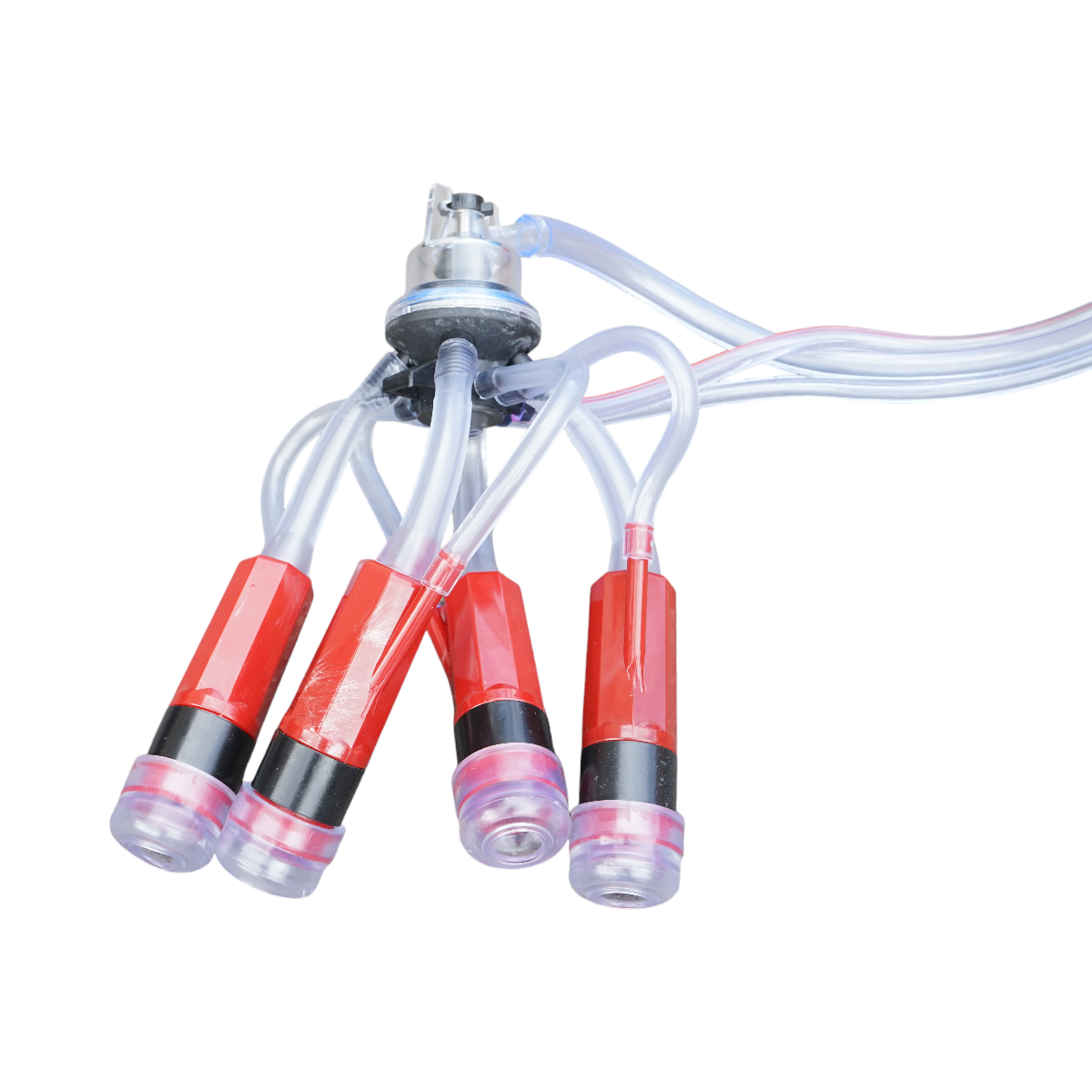 Milk-pumping machine for cows with 2 positions, aluminum tank 40L, vacuum reservoir and dry pump Breckner Germany