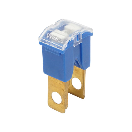 Car safety type dad, blue 100Amp