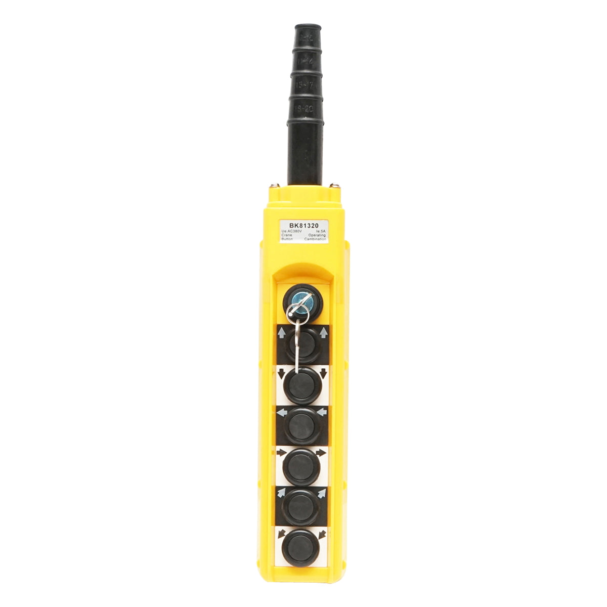 Industrial remote control with 6 commands and general contact with key 380V Breckner Germany
