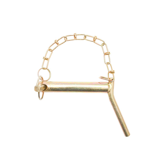 Bolt with chain and crank, diameter 22mm