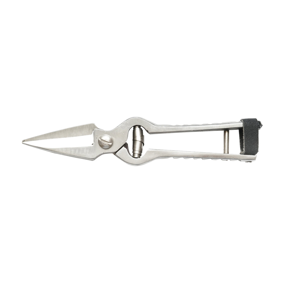 The serrated scissors for sheep and goats 220mm Breckner Germany