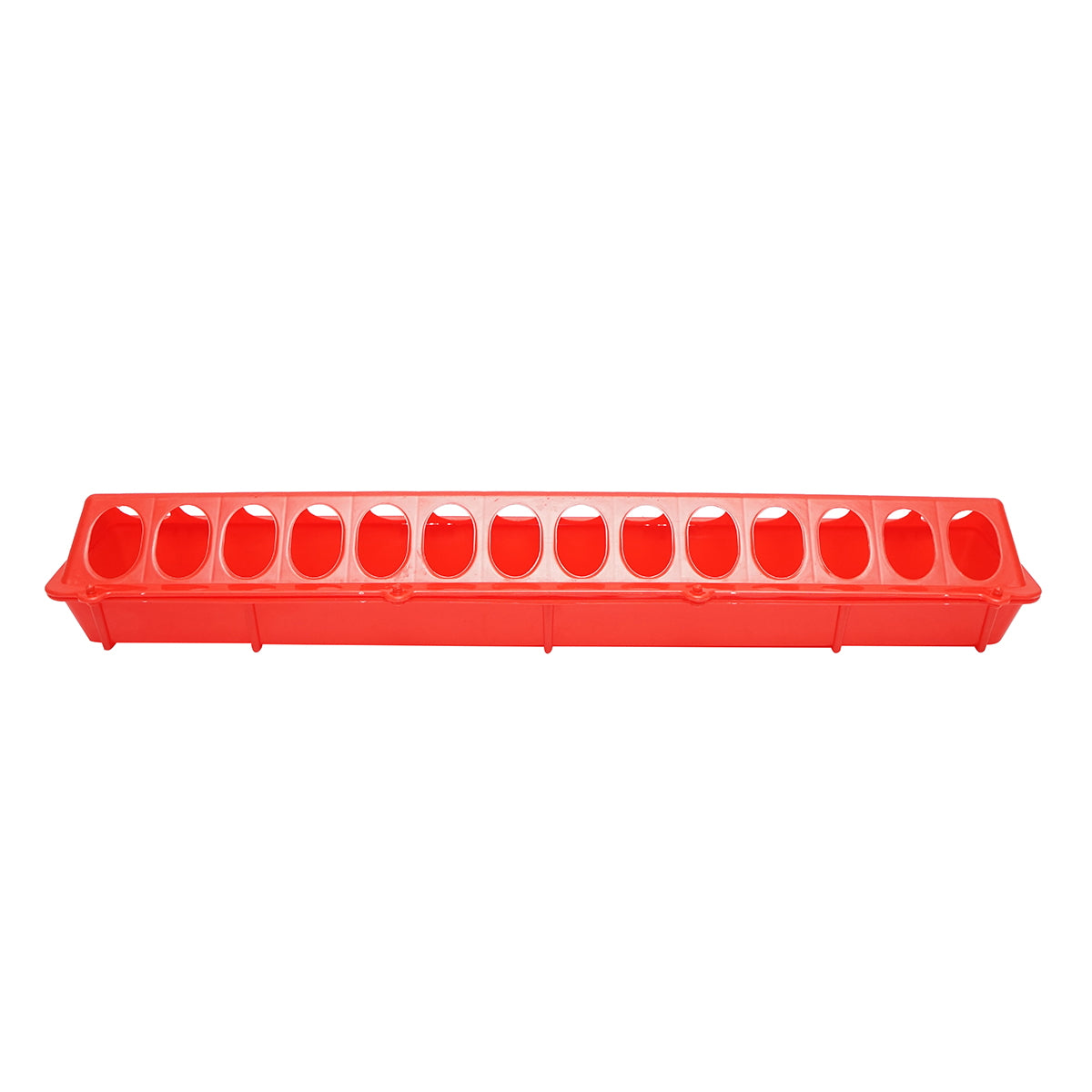 Feeder for chicks and poultry 50cm Breckner Germany