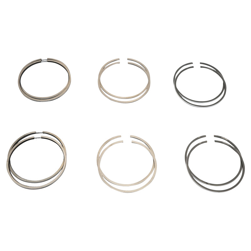 Chrome segments fi77 for Dacia 1600