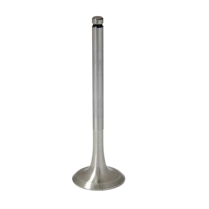 Dacia Logan 1.4, 1.6 exhaust valve 6001543503