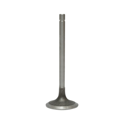 Intake valve for Fiat, Massey Ferguson, Case IH OEM code 4784888, 4803805, 4824417, 500300570, 78500003, 82982109, 98403097, 98435622, 98473704, 1908408, 4771023