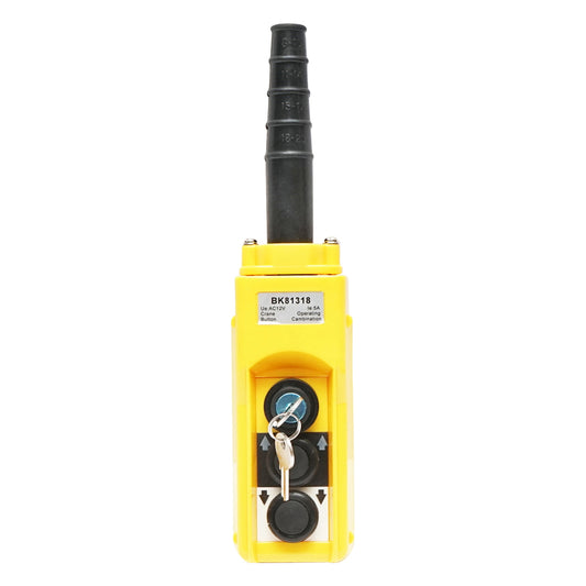 Industrial remote control with 2 commands and general contact with key 12V Breckner Germany